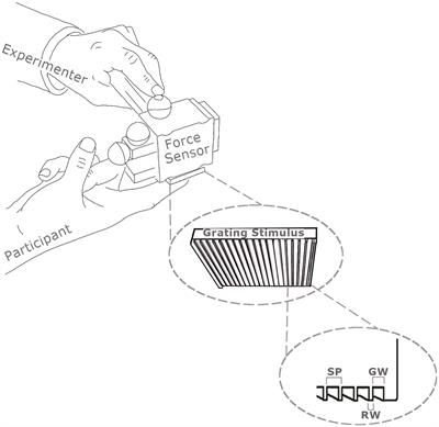 Evidence for vibration coding of sliding tactile textures in auditory cortex